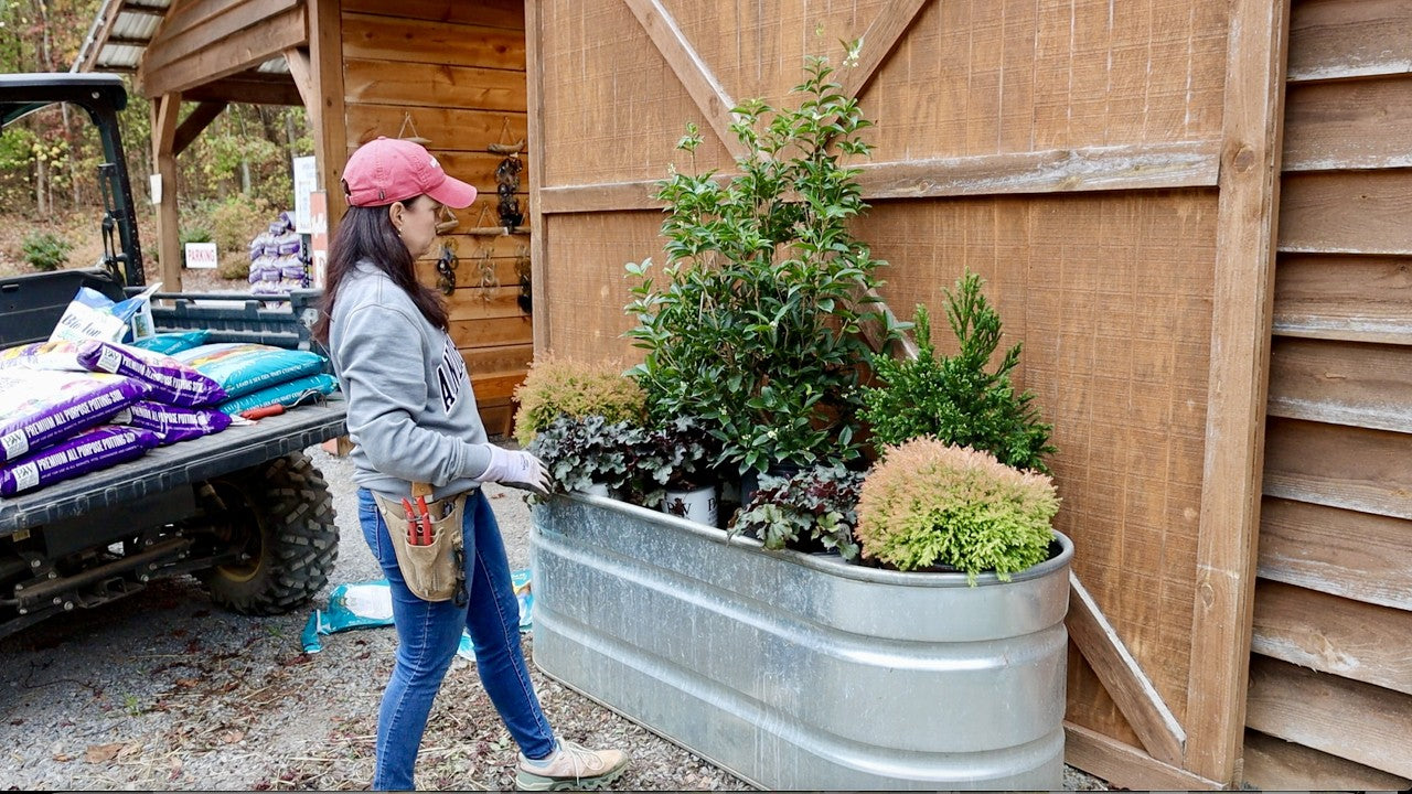 Creating An Evergreen Fall Container & Completing Irrigation