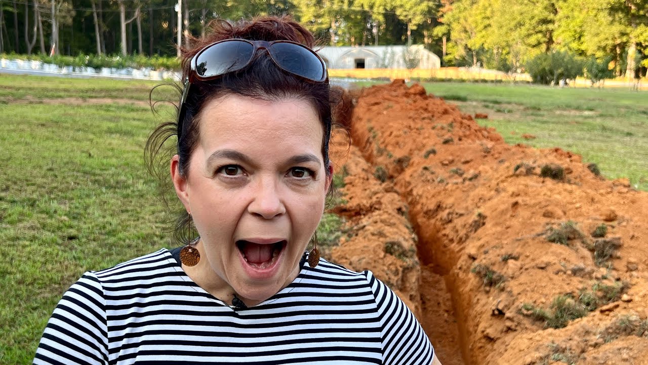 What Are We Up to Now? Creekside Nursery, Inc