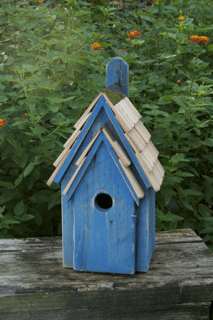 Bluebird Manor birdhouse in a decorative garden style