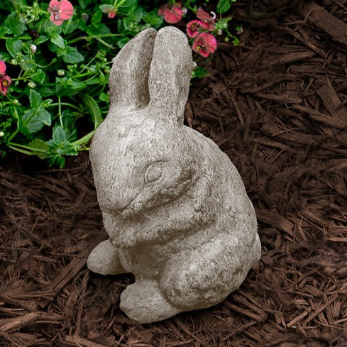 Sweet Up Bunny plant in a unique stone pot