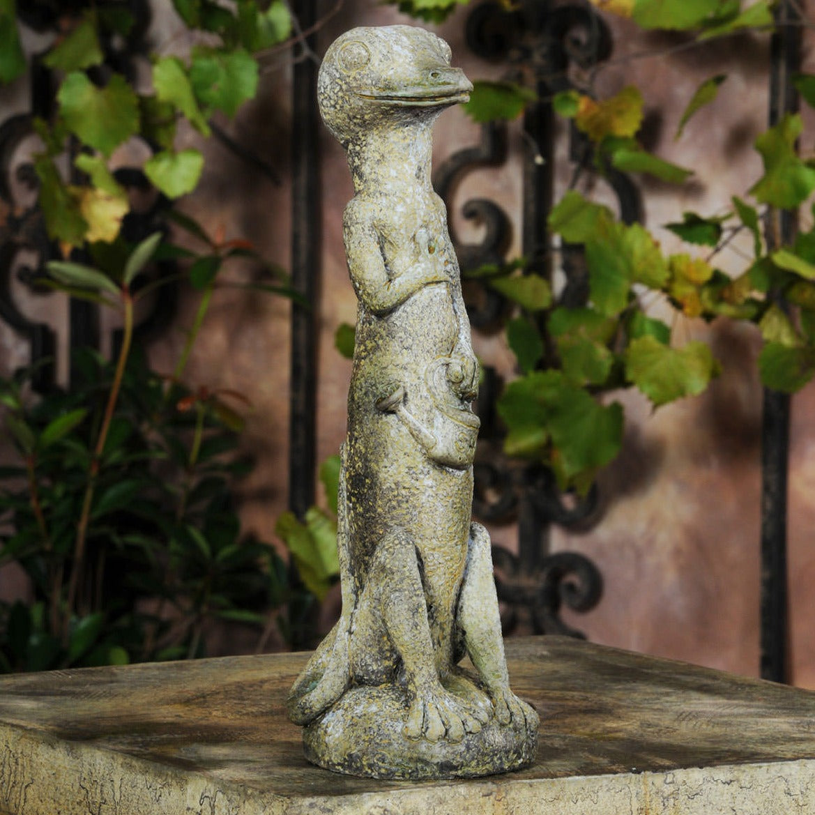 Garden Gecko stone planter with green succulent plant