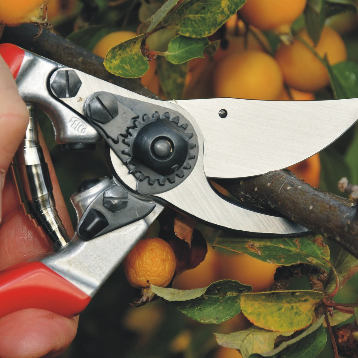 FELCO 9 one hand pruning shear with red handles