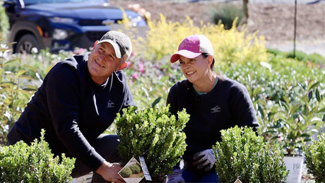 Adding the First Plants to the Proven Winners' Signature Garden