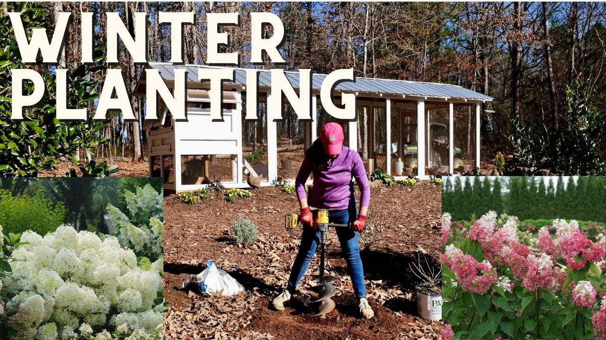 Videos – Creekside Nursery, Inc