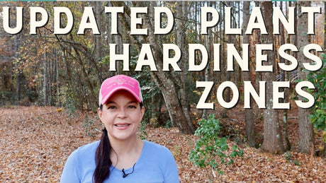 Updated Plant Hardiness Zones: What It Means For Your Garden