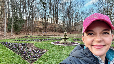 Creating Colorful Winter Beds in the Signature Garden