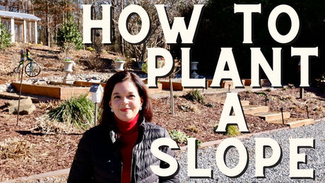 Ask Jenny: How To Plant a Slope