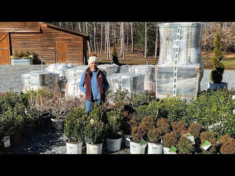 First Shrub Delivery for the 2023 Season