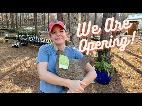 Tour of New Greenhouse with Flowering Annuals