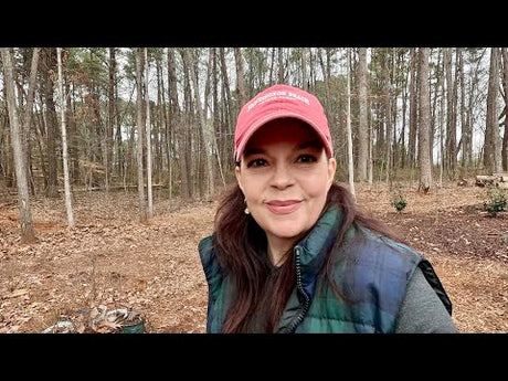 Transforming The Woods Into A Shade Garden