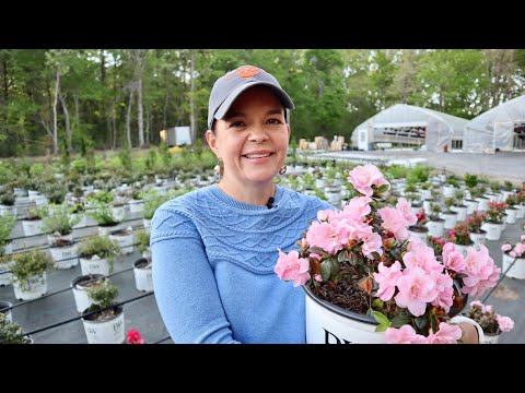 Spring Nursery Tour of the Production Greenhouses