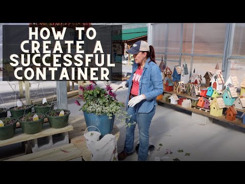 How To Create a Successful Container