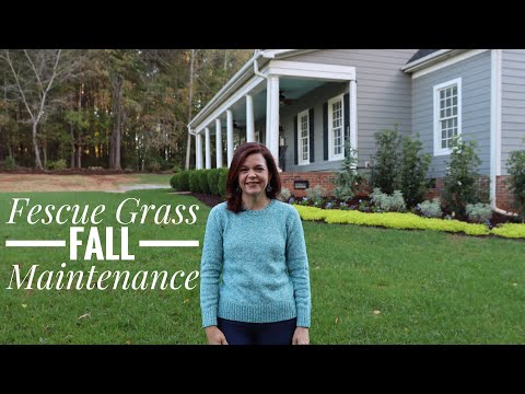 Fall Grass Planting