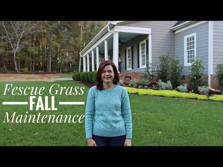 Fall Grass Planting