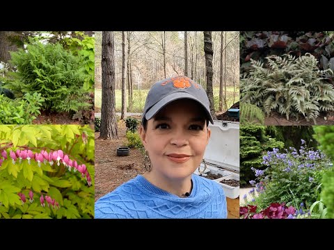 Planting a Pocket of Shade-Loving Perennials