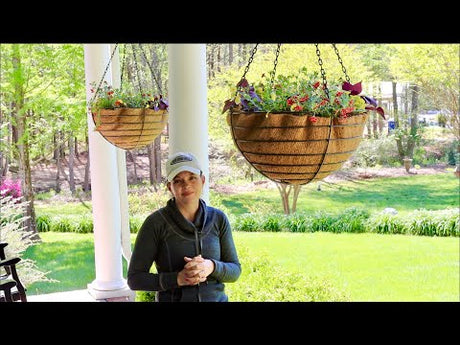 Planting My New Massive Front Porch Hanging Baskets