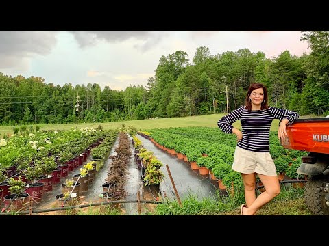 August Nursery Tour