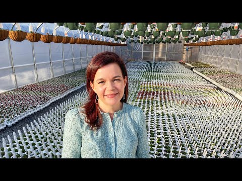 The Greenhouses are Filling Up!