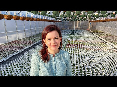The Greenhouses are Filling Up!