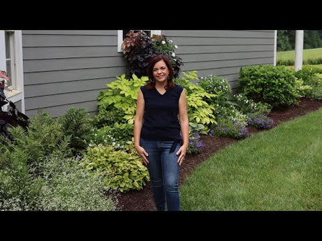 End of Summer Gardening Checklist