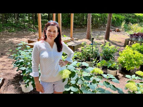 Early July at the Garden Center