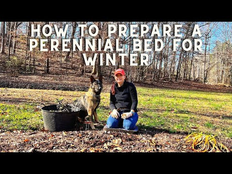 How To Prepare a Perennial Bed for Winter (And MORE!)