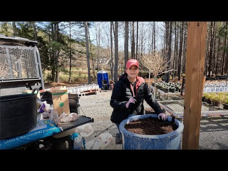Planting Tulips in the AquaPots