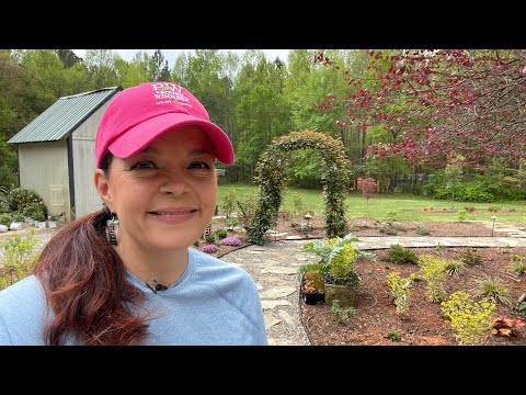 Backyard Garden Tour & Adding More Plants