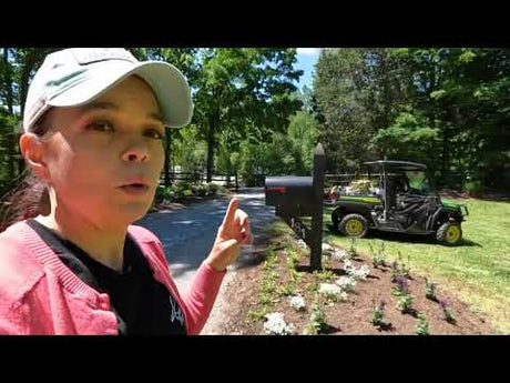 Beautiful Drought-Tolerant, Low-Maintenance Flower Bed