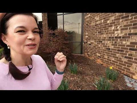 Sharing 2 "Secret" Gardens