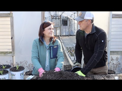 New Perennials at the Plant Nursery
