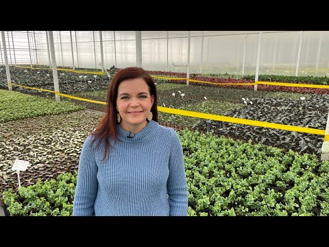 Houseplant Nursery Tour