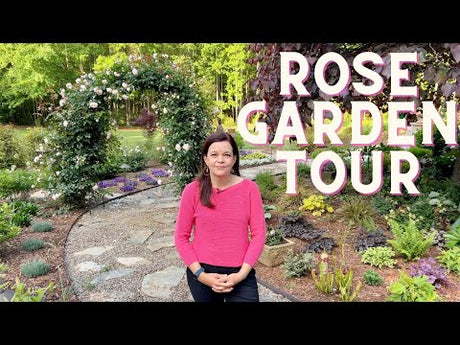 Rose Garden Tour