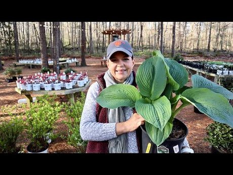 First Nursery Tour of April
