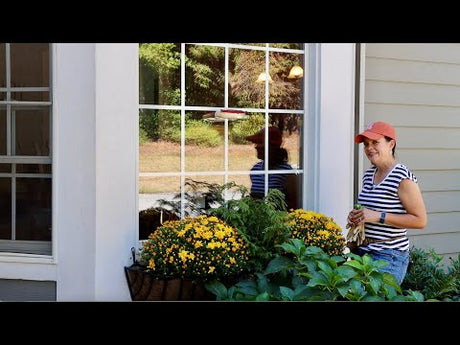 Colorful, Easy, No-Fuss Fall Planters