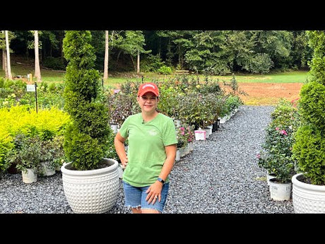 Shrubs, Mums, & Birdhouses Oh My!