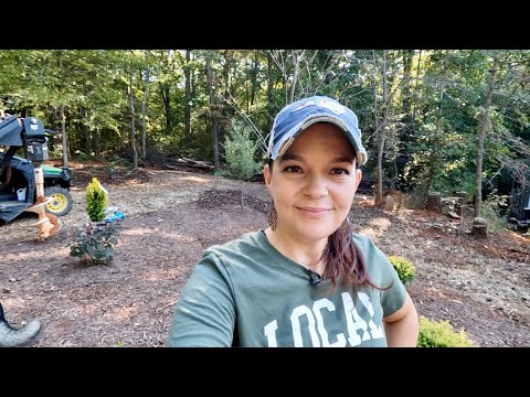 Planting Shrubs in Compacted Clay Soil – Creekside Nursery, Inc