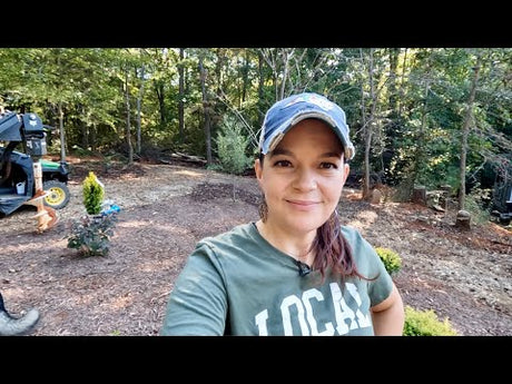 Planting Shrubs in Compacted Clay Soil