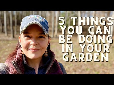 5 Things to Do In Your Garden Right Now