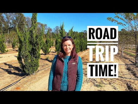 Road Trip Time!