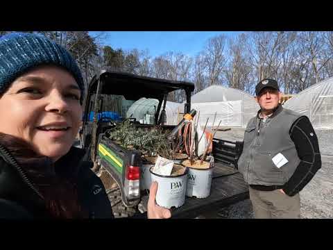 Building Walls, Prepping for Spring, & Selecting Landscaping Plants