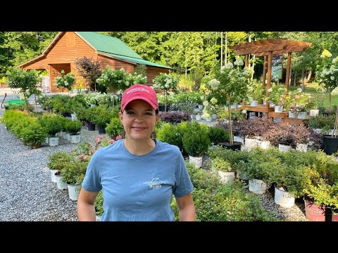 Weekly Nursery Tour in Full Bloom