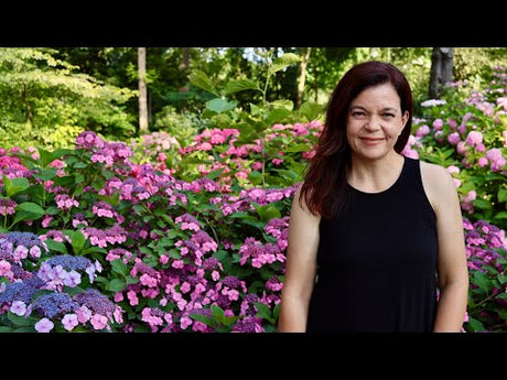 Summer Garden Tour of Spring Meadow | Proven Winners Shrubs