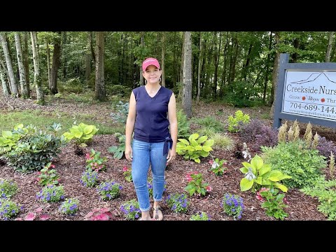Entrance Bed Garden Tour