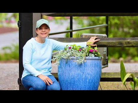 Gardening for the Entrance