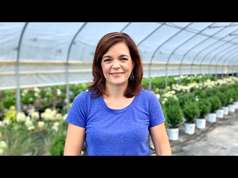 We Have New Babies & Nursery Tour