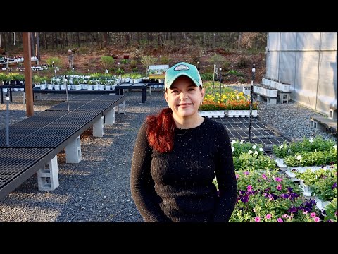 Are You Ready to Plant?