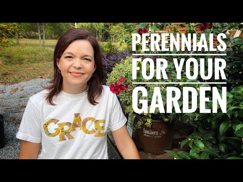 Perennials for Your Garden