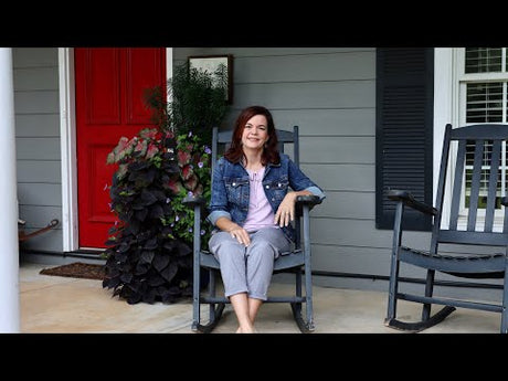 Walking Down Creekside's Memory Lane
