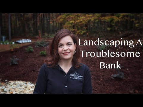 Landscaping A Troublesome Bank